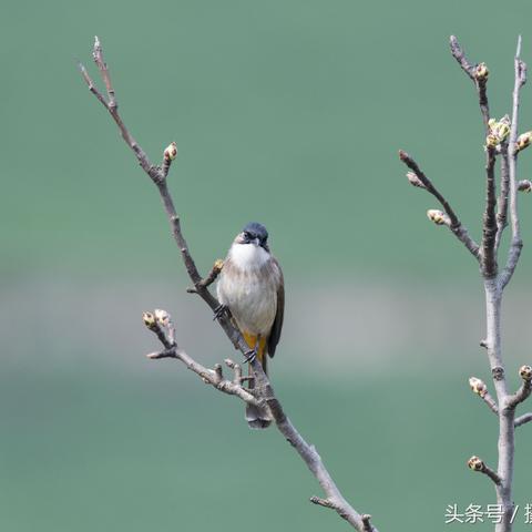 十大热门飞行游戏盘点：飞行爱好者必玩榜单揭晓