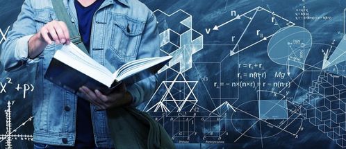 《十大猫游戏盘点：耐玩猫游戏排行榜》