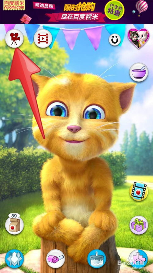 《十大猫游戏盘点：耐玩猫游戏排行榜》