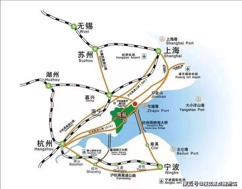 《掷在四方攻略：新手到大师必备技巧解析》