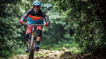 《越野骑行巅峰之作：盘点热门自行车越野游戏排行》