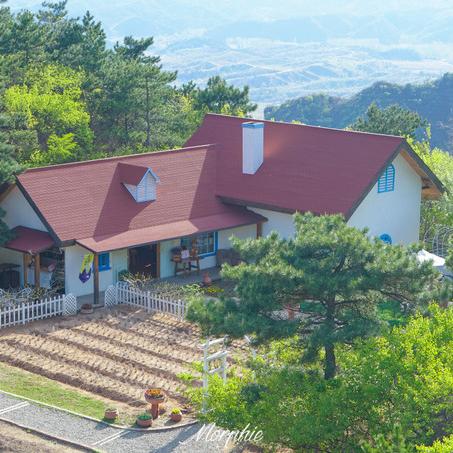 《光遇树屋隐藏位置大揭秘！》