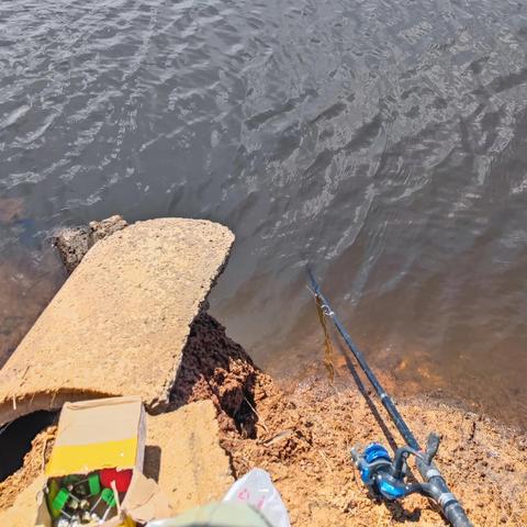 《钓鱼佬新手攻略：轻松净化海洋，快速升级！》