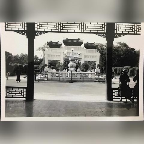 《热门轨道射击游戏大盘点：下载必玩神作》