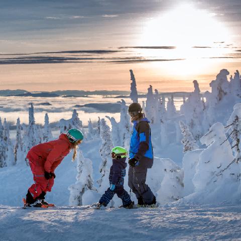 滑雪游戏盘点：热门滑雪游戏推荐，玩转冬日激情！