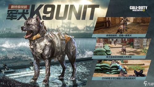 《使命召唤手游：轻松解锁军犬，获取攻略揭秘》