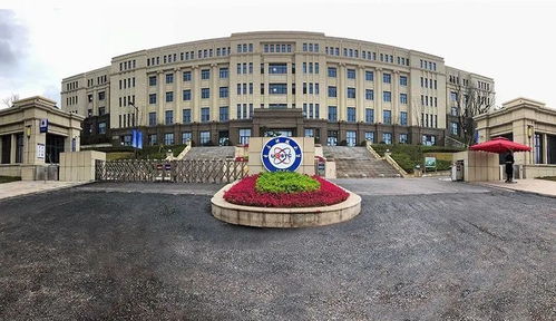 《蚁族崛起新统帅攻略：快速上位秘诀大公开》