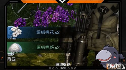 《黎明觉醒音乐专辑全收录攻略秘籍》