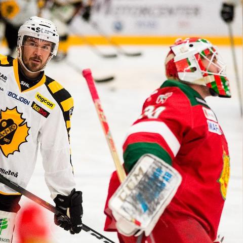 冰球游戏盘点：热门必玩冰球游戏推荐