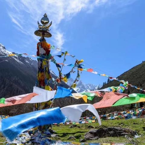 快节奏游戏盘点：热门排行，速来挑战！