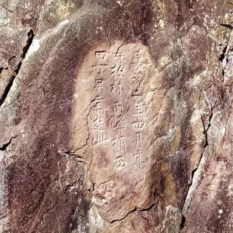 《四人群玩必备！盘点十大经典本地游戏排行》