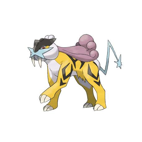 宝可梦大探险打雷最佳技能石搭配攻略