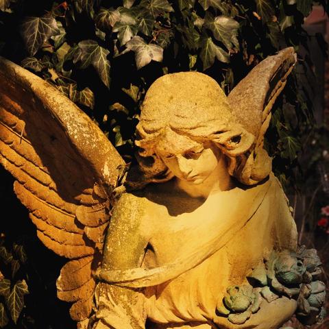 《弓箭之王对决，阿波罗挑战风之子霸主地位！》