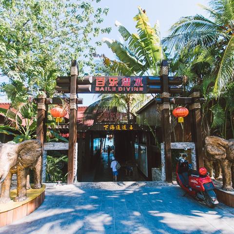 《光遇遮阳伞价格揭秘：玩家必备神器，性价比解析》