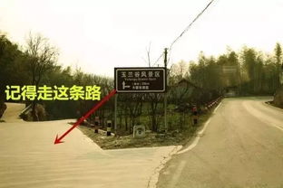 《光遇暴风眼石头桥精准位置揭秘》