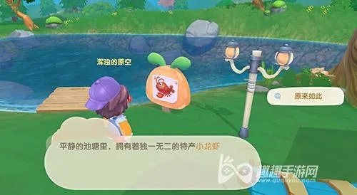 摩尔庄园手游鳗鱼钓法大揭秘！高效钓鱼技巧分享