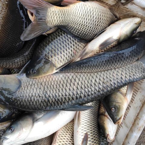 《钓鱼游戏盘点：最新热门下载推荐》
《独家盘点！钓鱼游戏新潮流下载指南》
《钓鱼控必看：盘点最新热门游戏下载》
《钓鱼游戏下载必看！盘点最新热门榜单》
《盘点新锐！钓鱼游戏下载推荐大盘点》