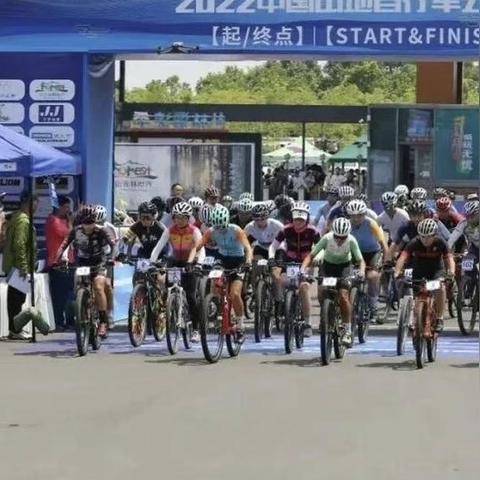 2024年度单车游戏排行：盘点热门骑行游戏榜单