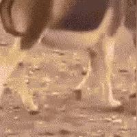 全动态影像游戏盘点：十大必玩佳作推荐