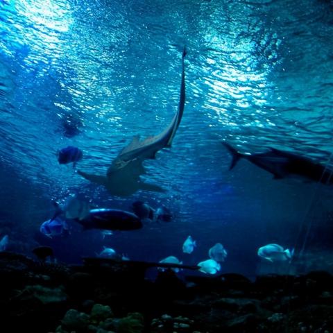 《探索无限！六大自由度游戏，耐玩度爆表推荐》