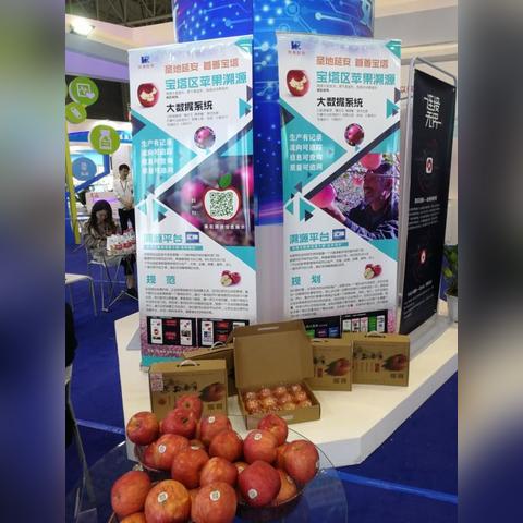 医疗模拟游戏盘点：热门排行，沉浸式体验推荐！