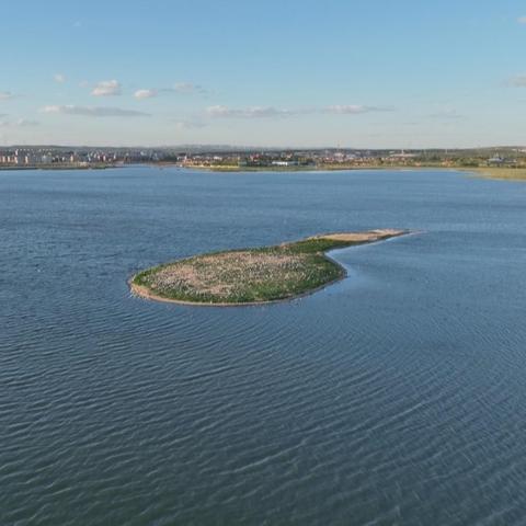 《光与夜之恋美术学院答案揭秘！首都美术学校攻略》