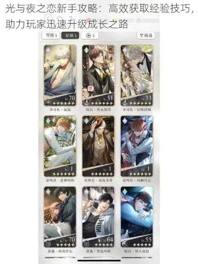 《光夜卡牌属性快速提升攻略，高效方法大揭秘》