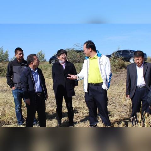 农场管理游戏人气排行：十大热门必玩游戏推荐