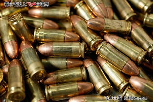 《2024子弹时间游戏盘点：年度热门排行揭晓》