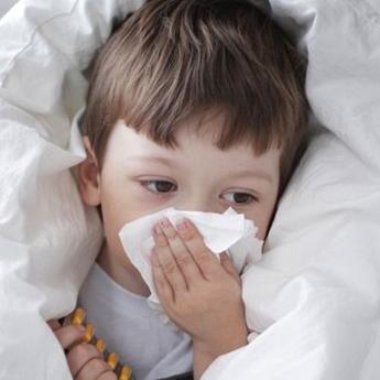 四季物语棉花获取攻略：高效位置查找技巧