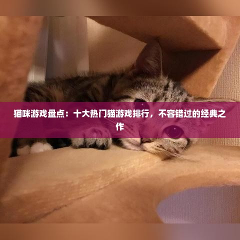 猫咪游戏盘点：十大热门猫游戏排行，不容错过的经典之作
