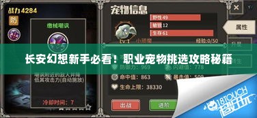 长安幻想新手必看！职业宠物挑选攻略秘籍