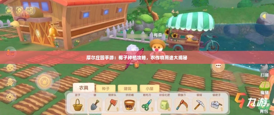 摩尔庄园手游：椰子种植攻略，农作物用途大揭秘