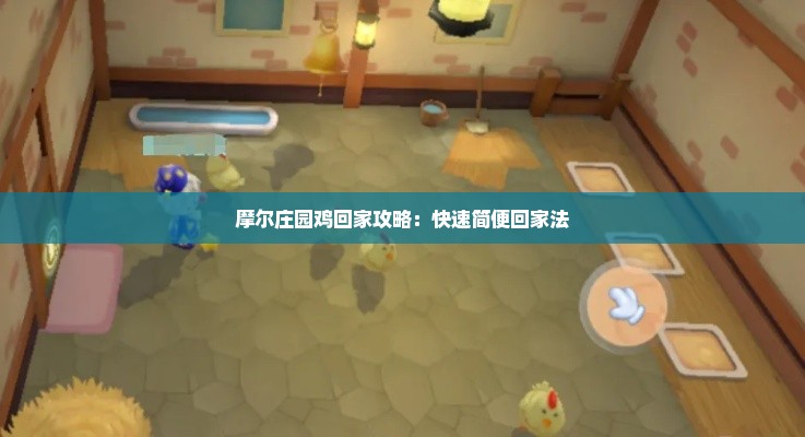 摩尔庄园鸡回家攻略：快速简便回家法