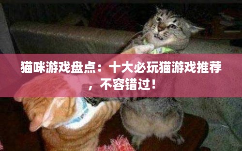 猫咪游戏盘点：十大必玩猫游戏推荐，不容错过！