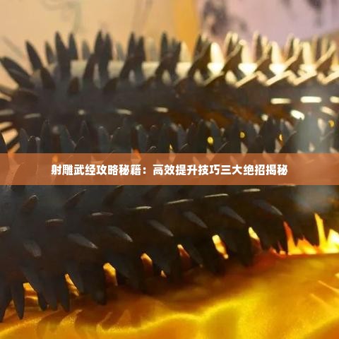 射雕武经攻略秘籍：高效提升技巧三大绝招揭秘