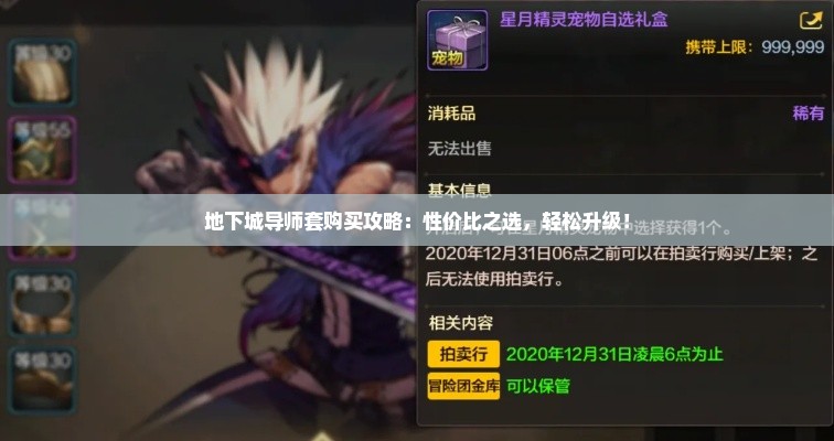 地下城导师套购买攻略：性价比之选，轻松升级！