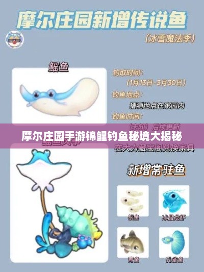摩尔庄园手游锦鲤钓鱼秘境大揭秘