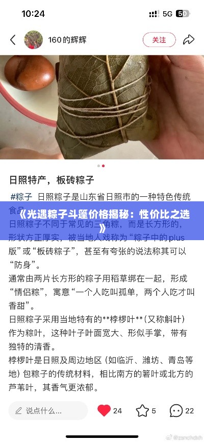 《光遇粽子斗篷价格揭秘：性价比之选》