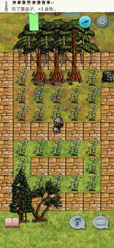 《希望之村攻略秘籍：向东闯关全解析》