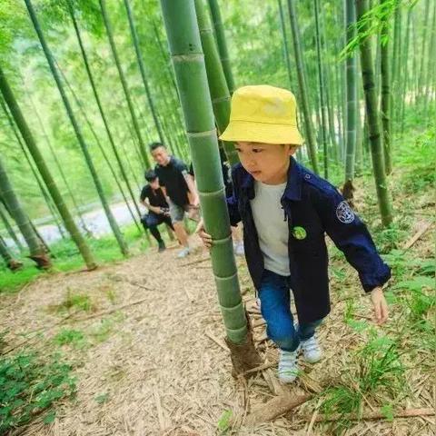 桃源深处篝火晚会攻略：独家玩法揭秘！