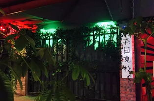 《十大高人气温馨游戏，沉浸式惬意体验大盘点》