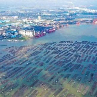 独家推荐！最新角色自定义游戏，打造个性玩法盛宴