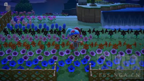 小动物之星篝火点燃攻略：高效点燃技巧揭秘