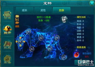 妖旋龟实战攻略：山海有灵属性解析与技巧揭秘