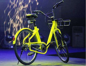 热门单车游戏盘点：人气飙升，哪款才是你的心头好？