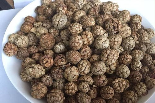 红莓在《小森生活》中的神奇用途及食材功效解析