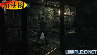 《杨门灭门危机解密》云端问仙独家生存攻略