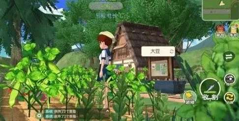 玉米用途揭秘：小森生活高效获取与妙用攻略