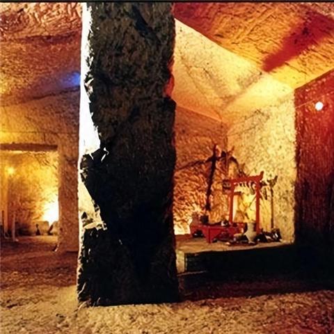 数码宝贝新世纪无限龙兽属性解析+实战技巧攻略全解析